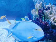 -欢乐海岸海洋奇梦馆