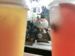 -柴犬高等学院·狗咖·柴犬售卖·宠物训练