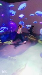 -小鸡哆哆故事屋·儿童乐园(嘉里城店)