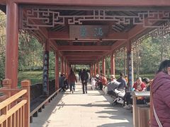 -重庆彩云湖湿地公园