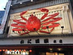 -蟹道乐(道顿堀本店)