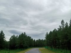 -塞罕坝国家级自然保护区