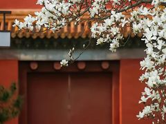 -故宫博物院(故宫)