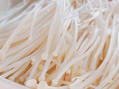 -季季红火锅(动壹店)