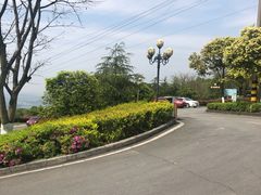 -铁山坪森林公园