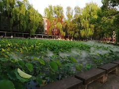 -四川大学(望江校区)