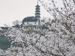 -苏州上方山国家森林公园