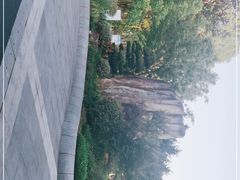 -昆山城市生态森林公园