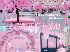 -金茂览秀城