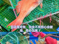 -三亚亚特兰蒂斯度假区