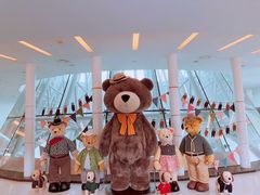 -济州岛泰迪熊博物馆