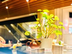 -煮叶(悠唐广场店)
