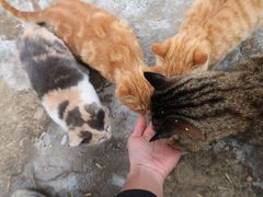 -终南山南五台景区