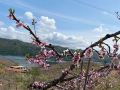 -河口景区