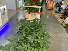 -百安居装修建材卖场(泰然店)