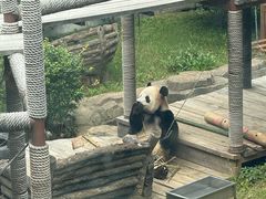 -大连森林动物园