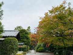 -天龙寺