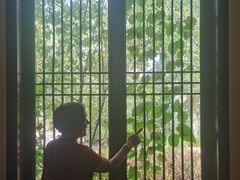 -杏花村文化旅游区