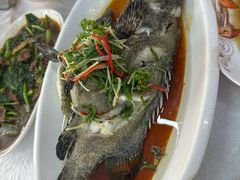 -众味海鲜大排档·活海鲜·潮汕味(南澳店)