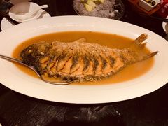 红烧黄河大鲤鱼-阿庄新豫菜(通泰路店)