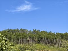 -莫尔道嘎国家森林公园