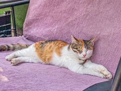 -后海16号·北京私房菜