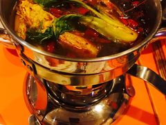 -咖啡苑·沈阳今旅酒店Hotel Jen·香格里拉集团
