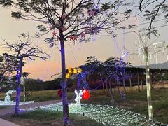 -亚龙湾国际玫瑰谷