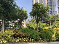 -深圳市宝安区妇幼保健院