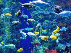 -波塞冬旅游度假区