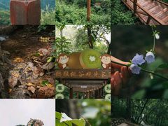 -大岭沟猕猴桃谷风景区