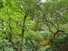 -香港大学