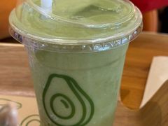 -油梨树 AVOCADO TREE(亮马桥店)