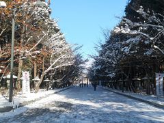 -北海道神宫