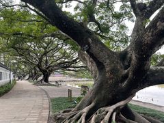 -江心屿景区