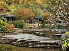 -云溪植物园