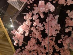 -椰贝原味椰子鸡(江南万达店)