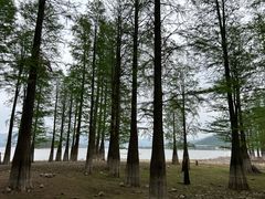 -四明湖