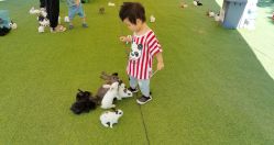 -萌宠亲子动物乐园(槐房万达店)