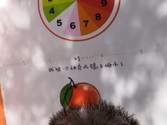 -前小桔亲子创意农场·草莓采摘·露营烧烤