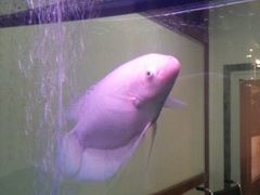 android_upload_pic-保定会馆(裕华店)