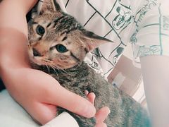 -全心全意连锁动物医院(加州店)