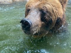 -广州长隆国际大马戏