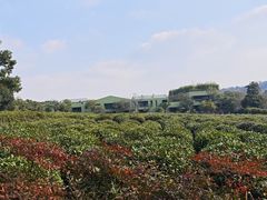 -中国茶叶博物馆(双峰馆区)