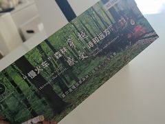 -莫尔道嘎国家森林公园