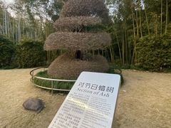 -苏州河梦清园环保主题公园