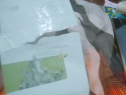 -谷雨官方旗舰店