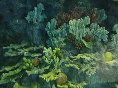 -福州罗源湾海洋世界旅游区