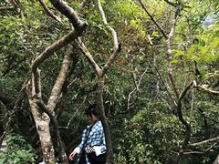 -小七孔景区东门售票处