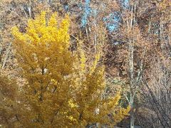 -河南省黄河迎宾馆